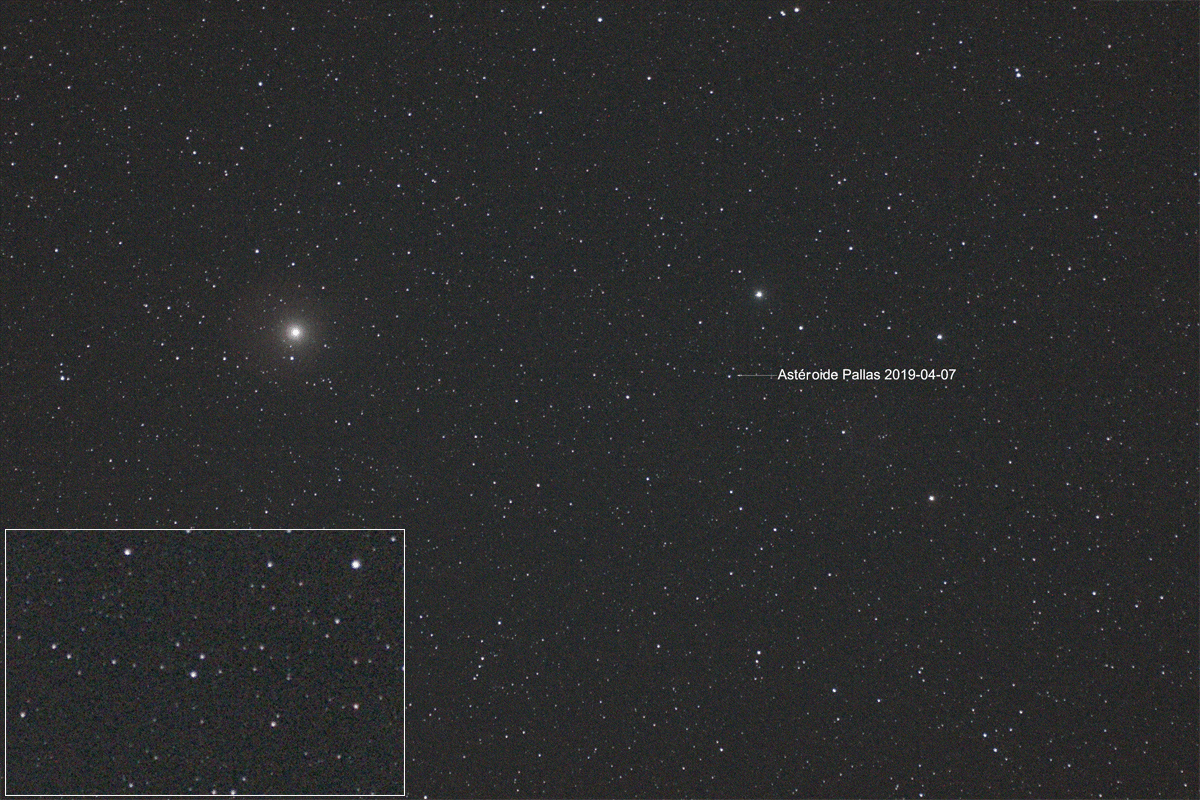 Animation de l'astéroïde Pallas dans la constellation du Bouvier