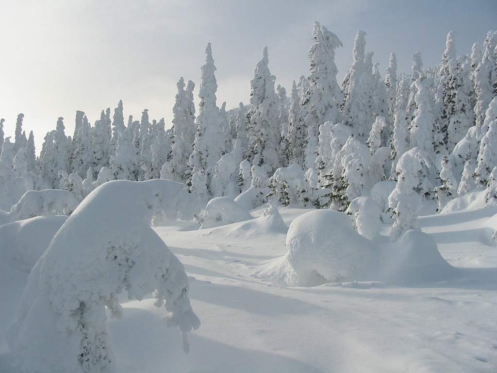 Lac Cascapédia