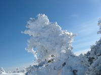 Mont Logan en 2013